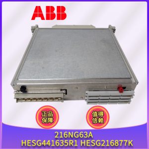 216NG63A-HESG441635R1-HESG216877K ABB