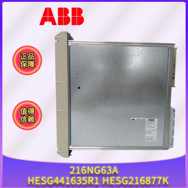 216NG63A-HESG441635R1-HESG216877K ABB - Image 3