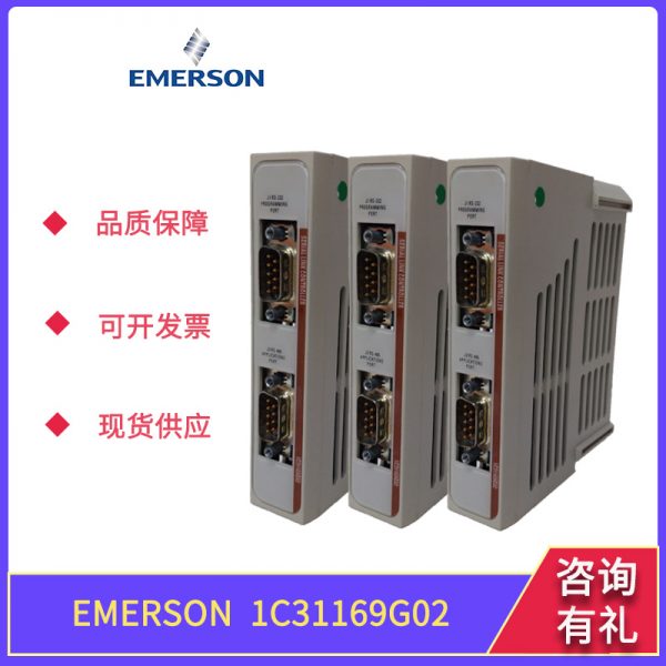 1C31110G01 EMERSON