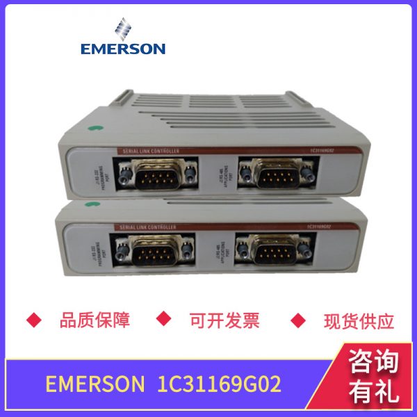 1C31169G02 EMERSON - Image 3