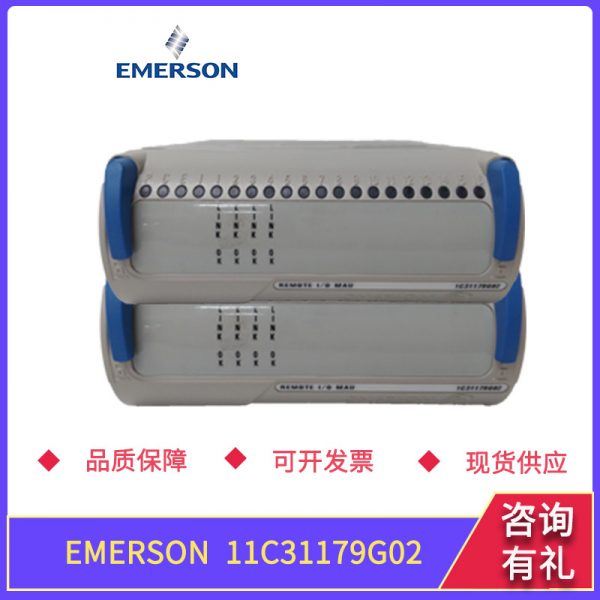 1C31224G01 EMERSON
