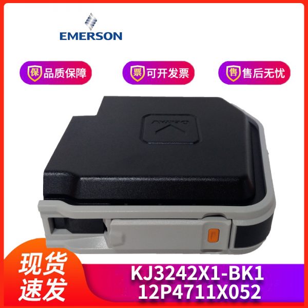 5X00301G01 EMERSON - Image 4