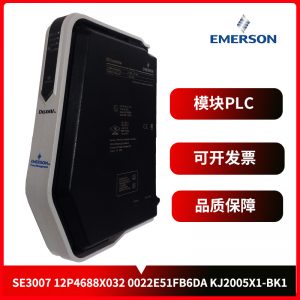 5X00225G01 EMERSON