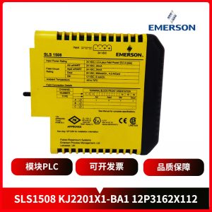 3A99162G01 EMERSON