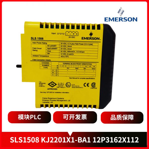 3A99162G01 EMERSON