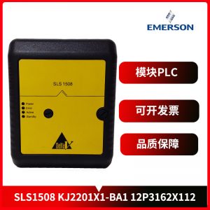 1C31219G01 EMERSON