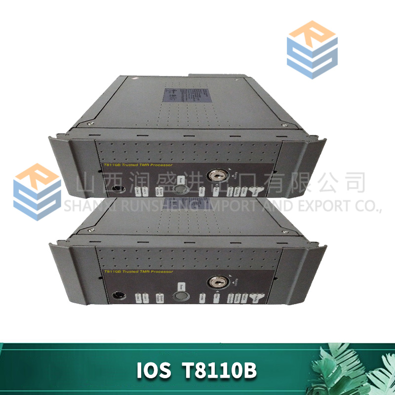 T8110B ICS TRIPLEX 3 T8110B ICS TRIPLEX - Image 3