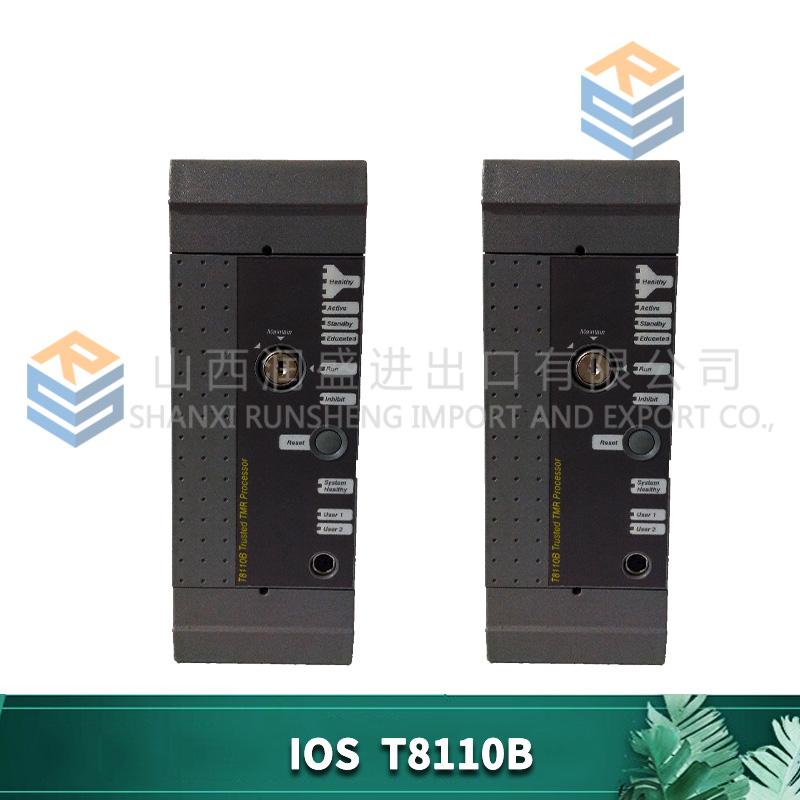 T8110B ICS TRIPLEX 4 T8110B ICS TRIPLEX - Image 4