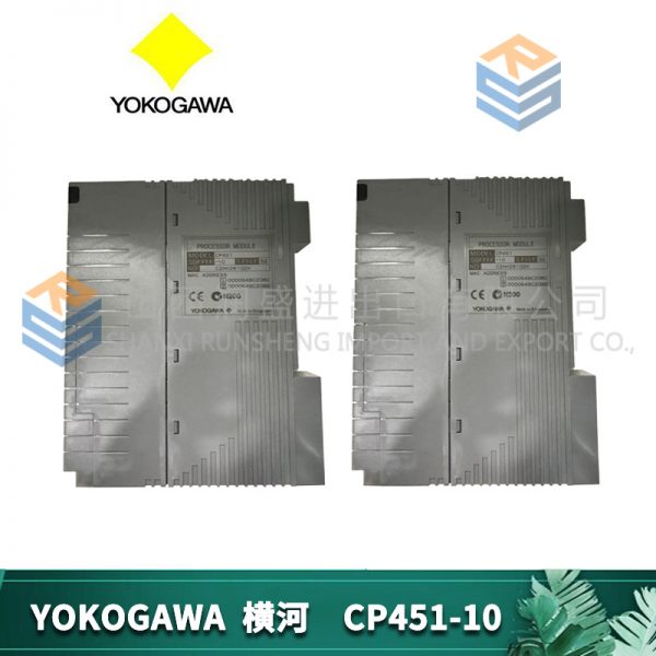 CP451-10 YOKOGAWA - Image 3