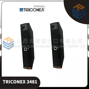 3008 TRICONEX