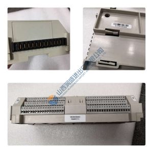 DC11009-004-024 WOODWARD